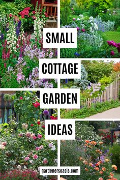 Small Cottage Garden Design Ideas | Perennial Garden