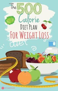 Day Meal Plan, Best Diet Plan, Low Fat Diets, 500 Calories, Healthy Diet Plans, Nclex, No Carb Diets