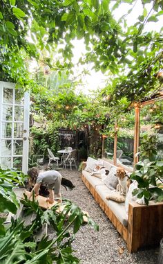 two dogs are sitting on a couch in the middle of an outdoor area with lots of greenery