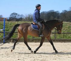 a man riding on the back of a brown horse