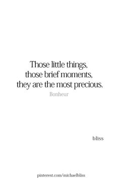 a quote that says those little things, those brief moments, they are the most preciouss