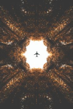 an airplane is flying through the air in front of some trees and leaves, looking up into the sky