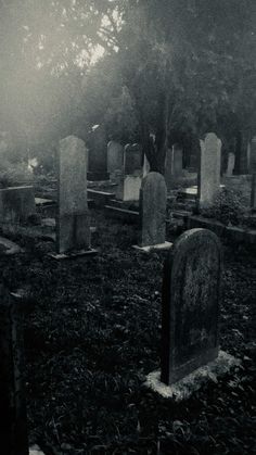 an old cemetery with tombstones and trees in the fog