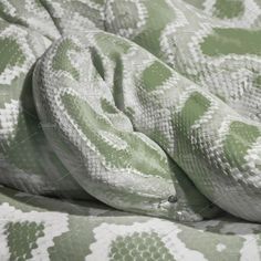 a green and white snake wrapped in a blanket