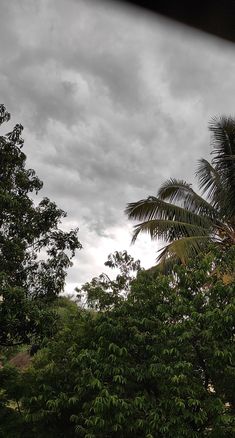 the sky is dark and cloudy over some trees