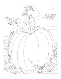 a drawing of a pumpkin with leaves on it