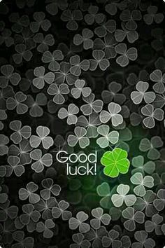 the good luck shamrock is surrounded by many clovers