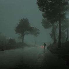 a person walking down a street in the rain with an umbrella over their head and trees on either side