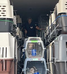 a man standing in the back of a truck filled with lots of cages