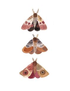 three moths hanging from the ceiling in different colors and sizes, each with their own wing pattern