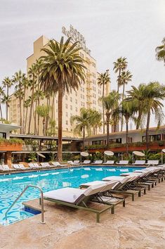 an empty swimming pool with lounge chairs and palm trees in the background at a hotel