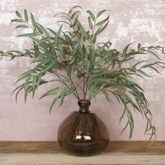 a plant in a brown vase on a shelf