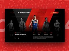 an image of a basketball team website