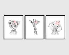 three framed pictures of animals with flowers on their heads