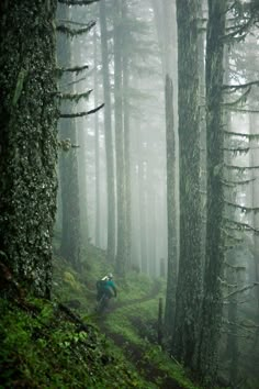 a person walking in the woods with a quote on it that says, if all the paths you take, make sure a few of them are there are not