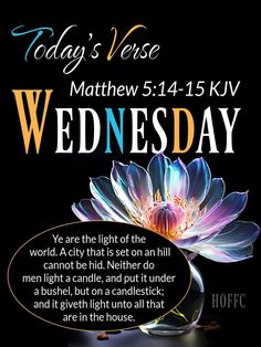 a poster with the words today's verse, and a flower in a vase