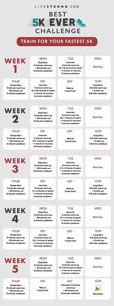 the ultimate guide to train for your fastest six days infographical poster by livestronics com