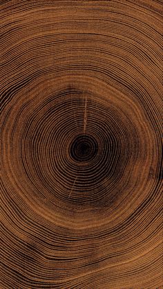 an image of a wood grain pattern that looks like it has been cut in half