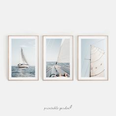 three sailboats sailing in the ocean with blue sky and water behind them, framed on white wall