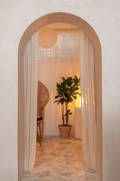 a potted plant sitting in the middle of a room with sheer curtains on it