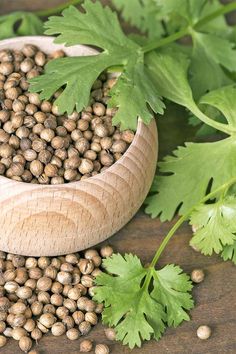 a wooden spoon filled with seeds next to some green leaves on top of a table