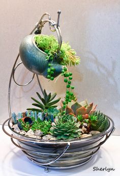 a potted plant sitting on top of a metal bowl filled with succulents