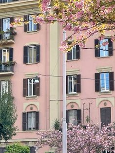 a pink building with lots of windows and flowers on the trees in front of it