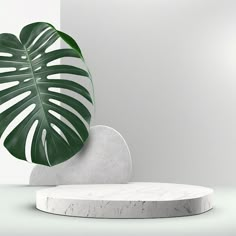 a large green leaf sitting on top of a white marble stand next to a wall