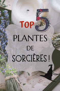 Quelle que soit votre discipline de prédilection (divination, tarots, pendule, tasséomancie, manifestations, magie des bougies, intentions, méditation), la connaissance des plantes et leurs correspondances magiques sublimera vos talents ! Une sorcière s’intéresse toujours un peu à l'herboristerie, car elle connectée à l'esprit de la nature. Elle peut aimer le jardinage et être sensible à l’écologie. Voici donc le top 5 des plantes que je vous recommande si vous commencez en sorcellerie ! Witches Jar, Harry Potter Birthday, Spiritual Guides, Kitchen Witch, Book Of Shadows, Runes, Reiki