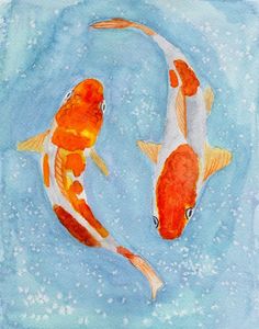 two orange and white koi fish swimming in blue water with bubbles on the surface