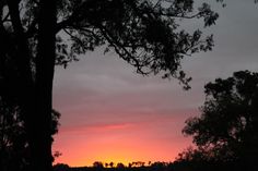 the sun is setting behind some trees