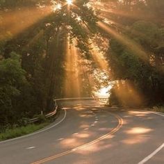 the sun shines brightly through the trees on an empty road