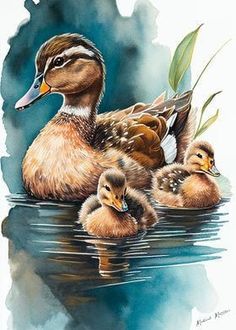 two ducks and three ducklings in the water