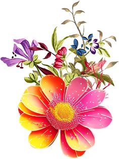 a bouquet of colorful flowers on a white background