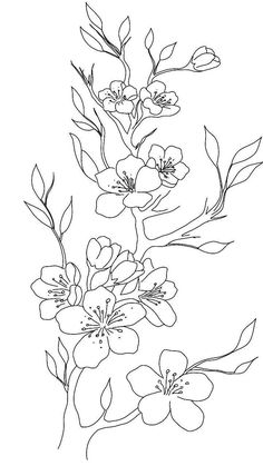 a line drawing of flowers on a white background