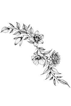 black and white drawing of flowers on a white background