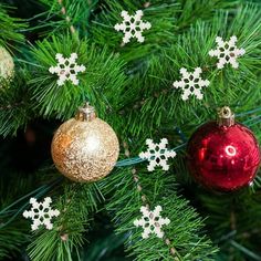 christmas ornaments hanging from the branches of a tree