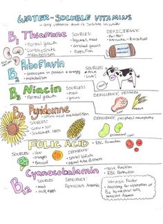 a white paper with an image of different types of vitamins and other things on it