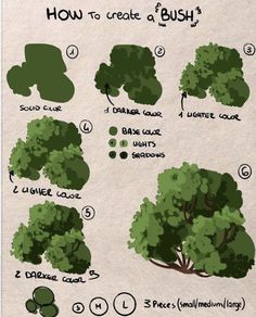 how to create a bush in adobe and photoshopped with the help of hand drawn trees