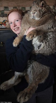 a woman holding a large cat in her arms