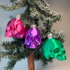 three different colored skulls are hanging from a christmas tree ornament on a branch