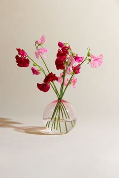 a vase filled with pink and red flowers