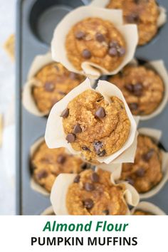 pumpkin muffins with chocolate chips in the middle and text overlay reading almond flour pumpkin muffins