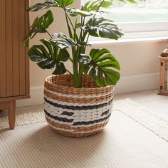 a potted plant in a woven basket on the floor next to a large window