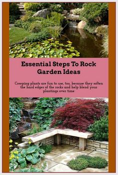 an image of a garden with flowers and plants around it, including rocks in the middle