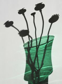 the shadow of three flowers in a green vase