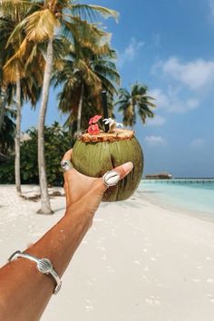 a person holding up a coconut on a beach with palm trees and blue water in the background