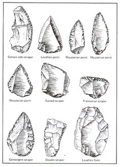 an image of different types of rocks and their names in black ink on white paper