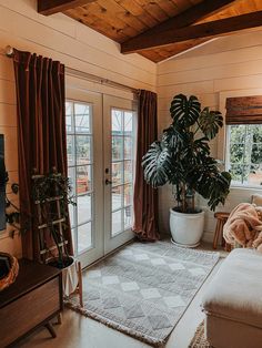 a living room filled with furniture and a potted plant on top of a rug