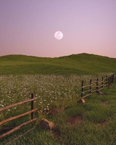 a fence in the middle of a field with flowers on it and a full moon